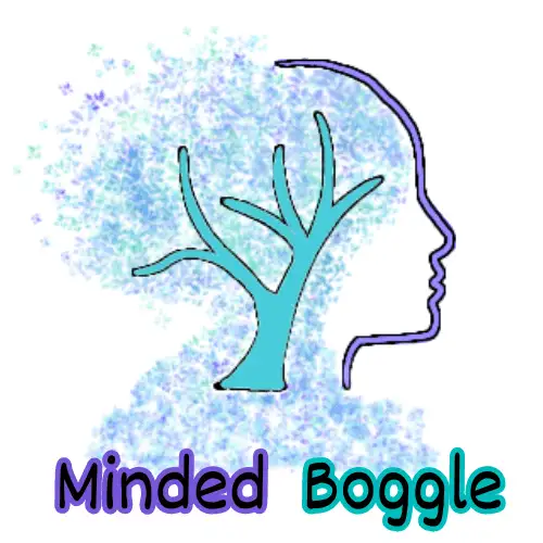 Minded Boggle